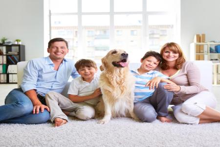 What You Need To Know About Your New Haven Dehumidifier